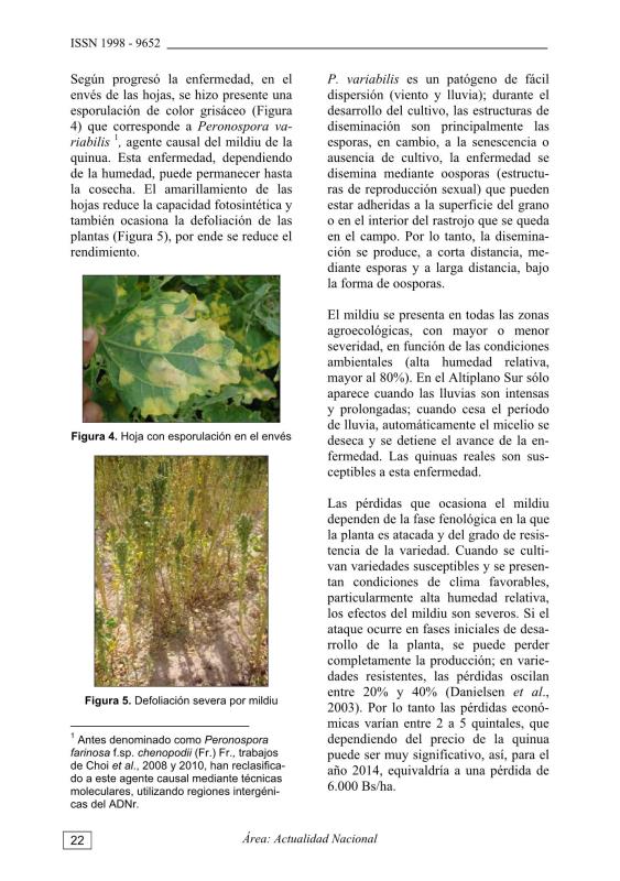 4 mani res de cr