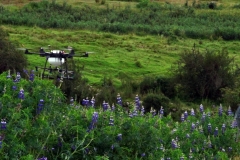 Demostración-del-uso-del-dron-en-una-parcela-de-tarwi-en-la-XV-ILC-2019