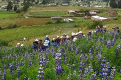Participantes-en-el-día-de-campo-en-Colomi-en-la-XV-ILC-2019