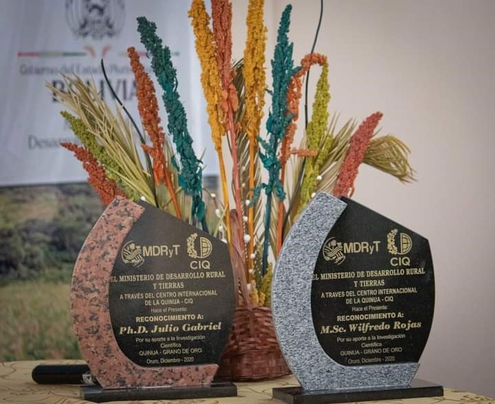 Investigadores de PROINPA en el cultivo de la quinua fueron reconocidos y homenajeados por el Gobierno Nacional y el Centro Internacional de la Quinua.