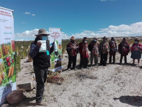 Agricultores Productores de Quinua del Municipio de Uyuni Fortalecen sus Capacidades en el Uso y Acceso de Bioinsumos para el Manejo Ecológico de Plagas y Nutrición del Cultivo de la Quinua.
