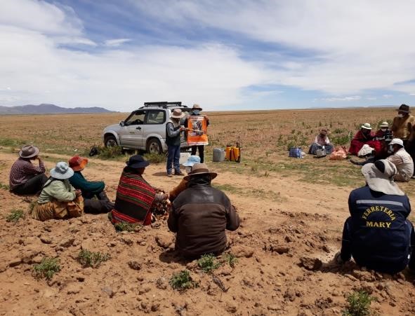 Agricultores Productores de Papa de las Comunidades de Cañaviri y Capunuta de la Provincia Aroma se Capacitan en el Uso, Acceso y Aplicación de Bioinsumos Orgánicos  para la Fertilización y Control de Plagas