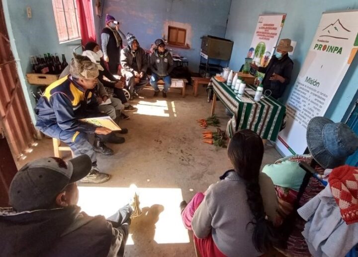 Productores de Hortalizas de Mantecani, Municipio de Patacamaya, Fortalecen sus Capacidades en Uso Eficiente de Bioinsumos.