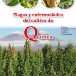 Plagas y enfermedades del cultivo de quinua